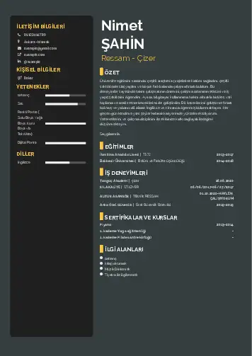 Ressam Cv Örnekleri cv indir